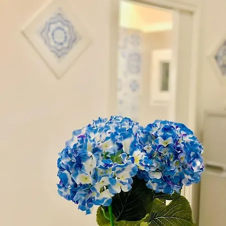 Penisola Experience 펜션 비코에쿠엔세